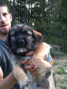 Spike is in his way to happy tails rescue in Minnesota!!! This precious furboy was at the shelter for 59 days when rescue said, " We want him!!" Now he gets.to live the high life way up north. Glad he Already has his winter coat on. Happy trails spike!