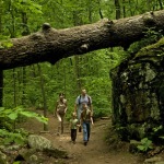 hiking