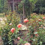 VBC Master Gardener September 2016 Update