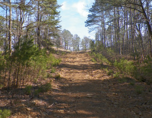 Trail1