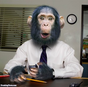 Monkey-Business--78549