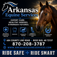 Arkanas Equine