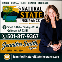 Natural State Insurance